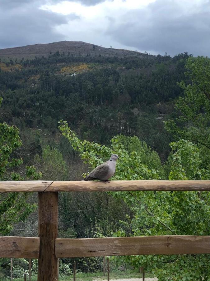 Casa Do Gaio-Turismo De Natureza Arouca Exterior foto